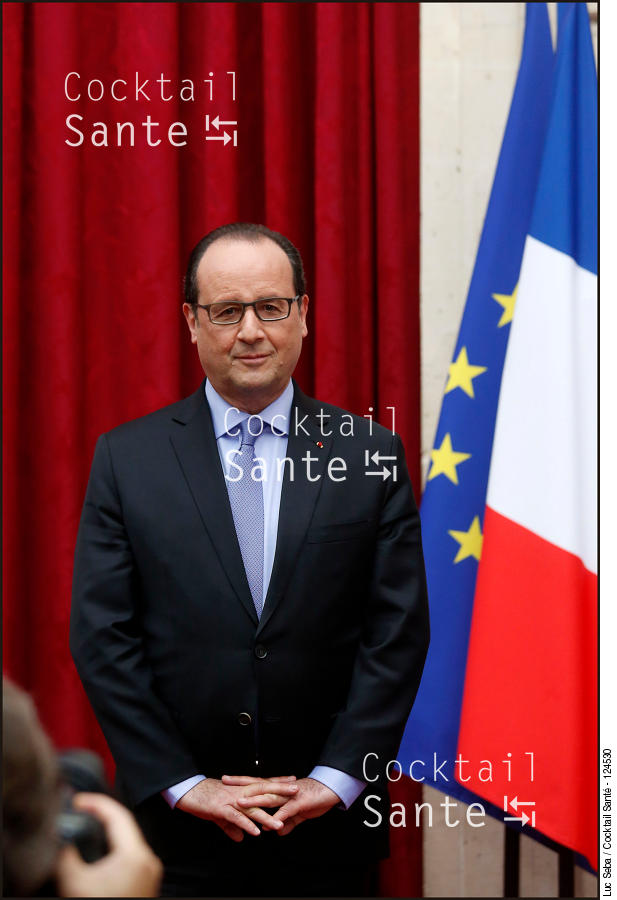 Hollande-001-SEBA.jpg