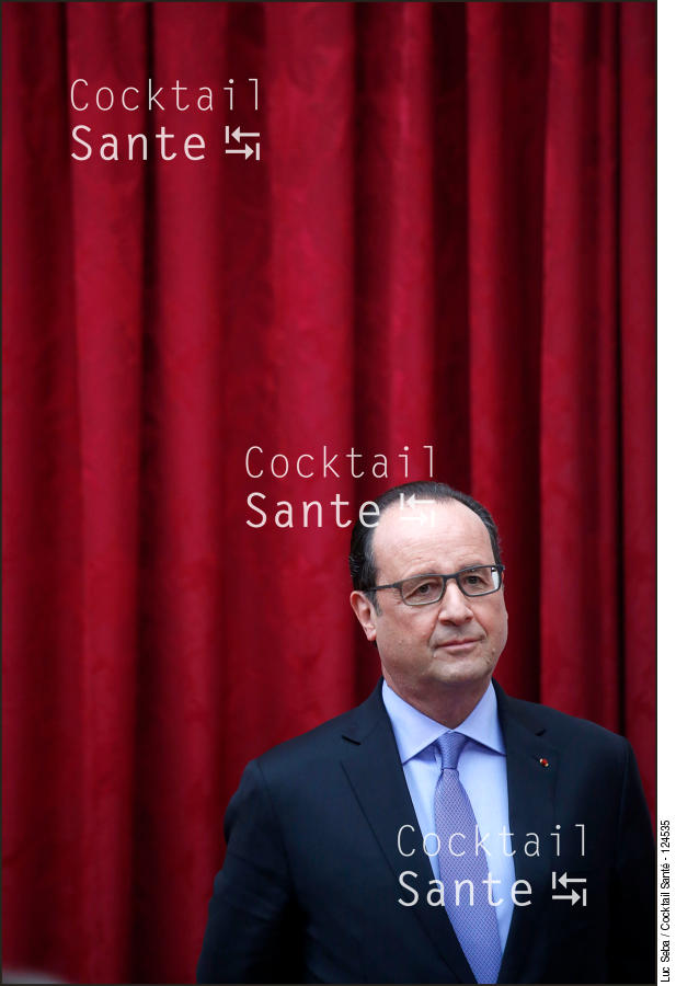 Hollande-006-SEBA.jpg