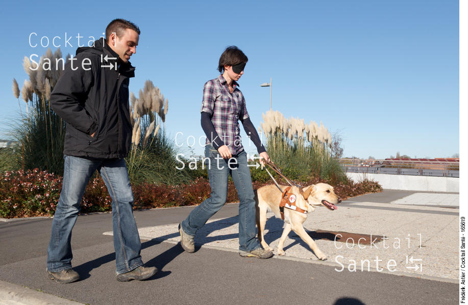 ASTIER-Handicap-Visuel-chien-guide-0047016.jpg
