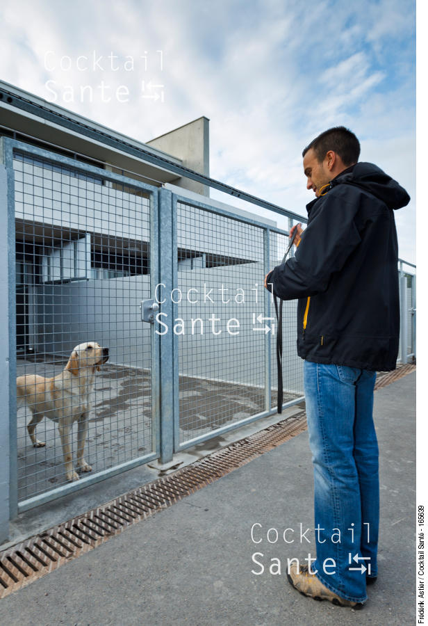 ASTIER-Handicap-Visuel-chien-guide-6242.jpg