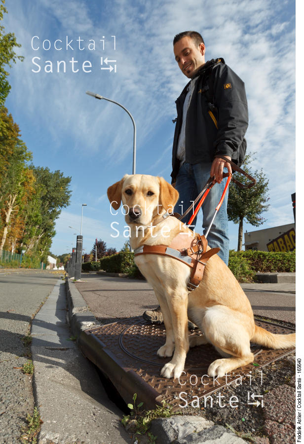 ASTIER-Handicap-Visuel-chien-guide-6297.jpg